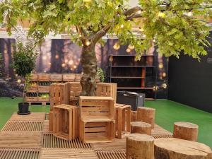 Harasse Holz 2